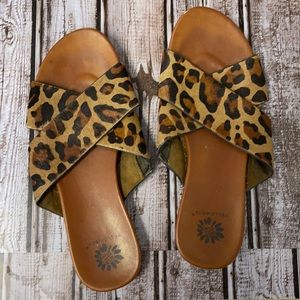 Yellowbox leopard sandals